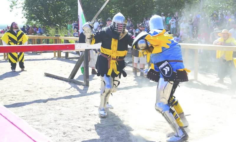 Swords, axes and shields out front in medieval combat championship